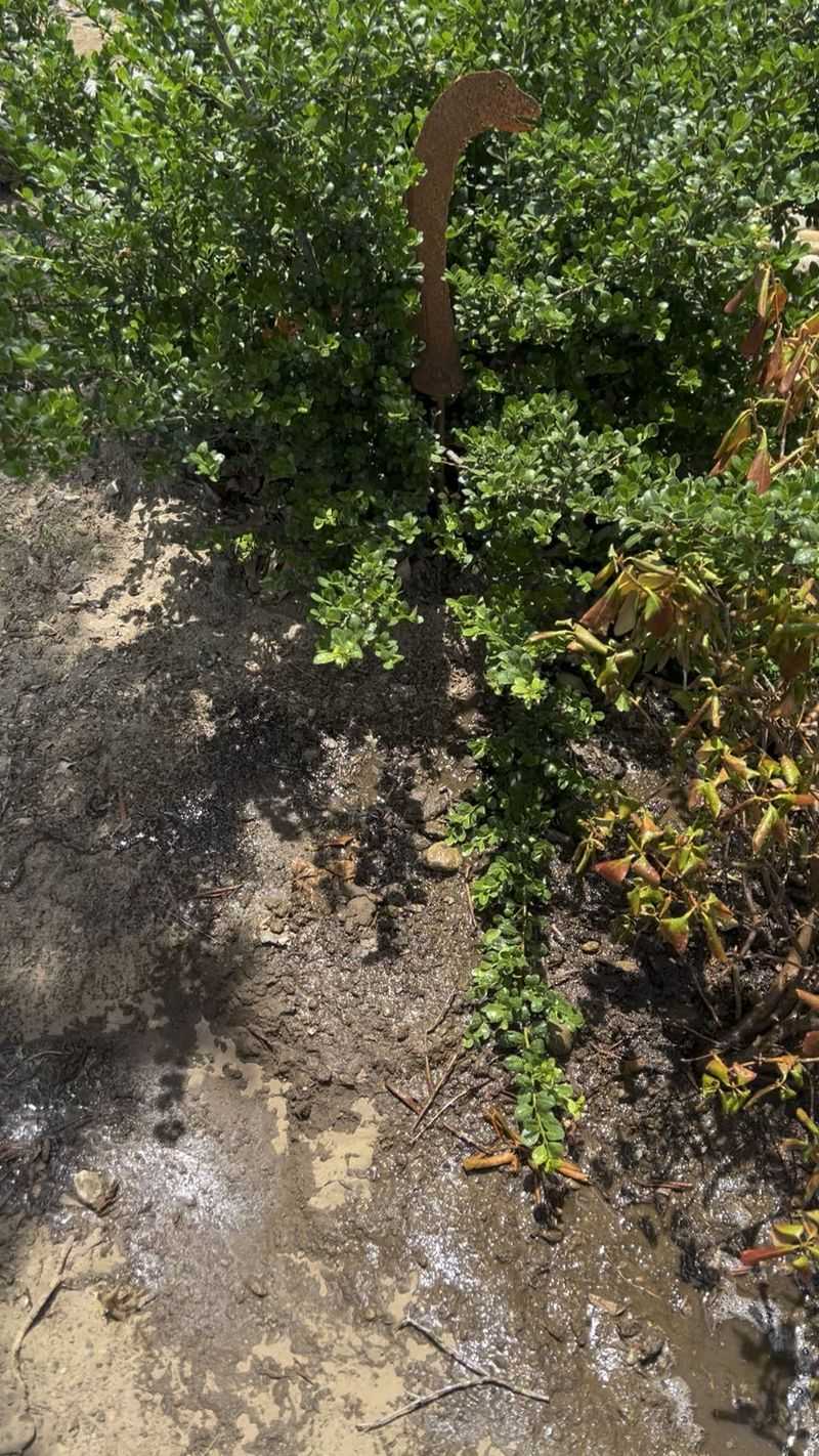 Skip Watering When The Soil Is Already Saturated Skip Watering When The Soil Is Already Saturated