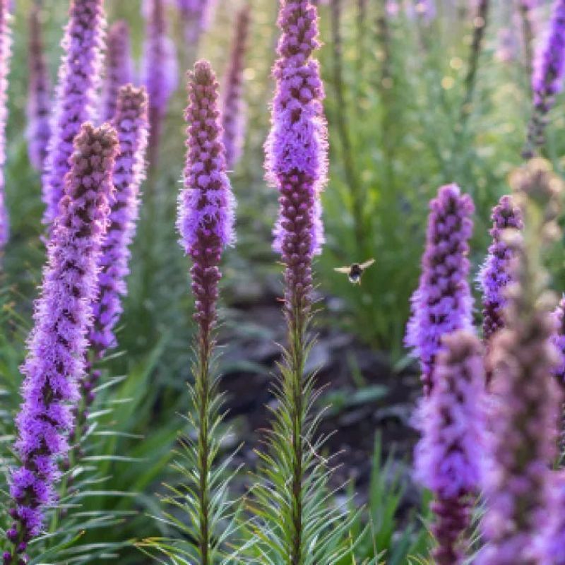 Skipping Pesticides Protects The Whole Food Web