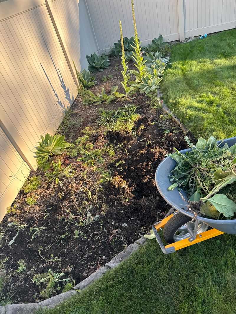 Skipping Soil Preparation Skipping Soil Preparation