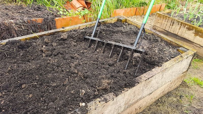 Skipping Soil Preparation Skipping Soil Preparation