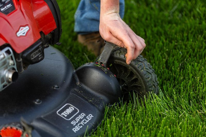 Slightly Taller Grass Can Handle The Transition Better