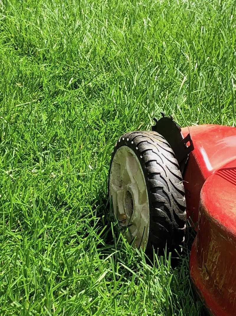 Slower Growth Means Mowing Will Happen Less Often