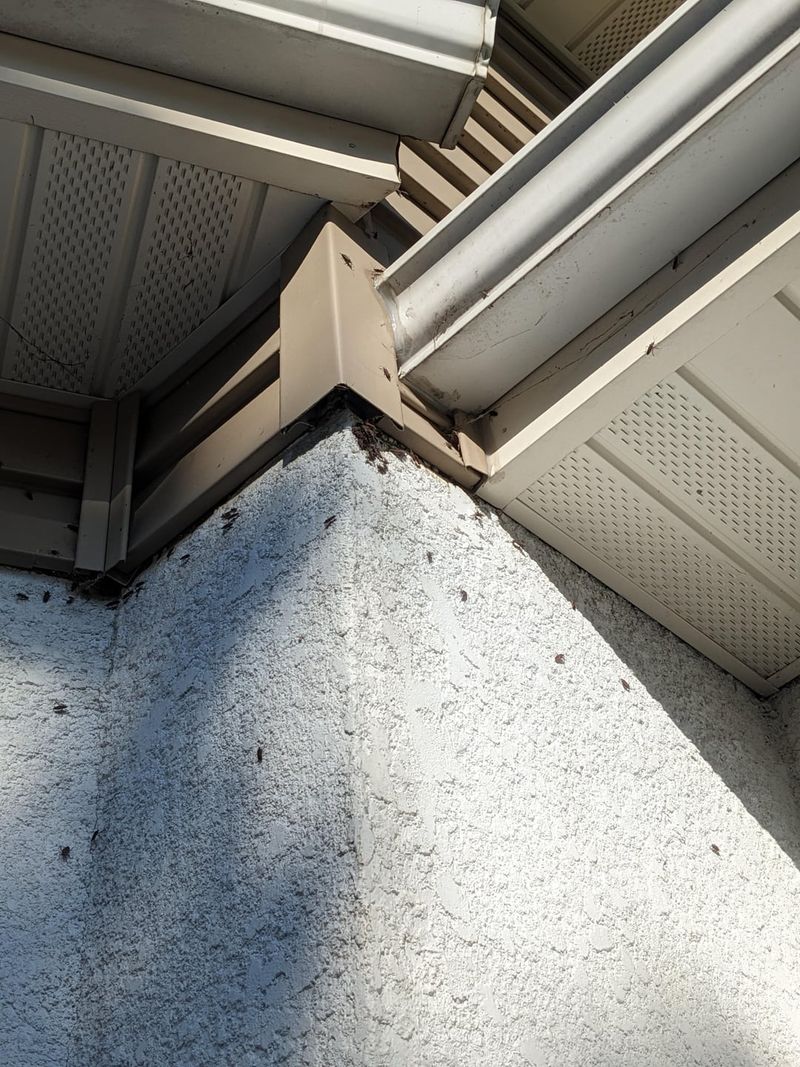 Small Gaps Homeowners Tend To Overlook Small Gaps Homeowners Tend To Overlook