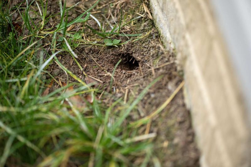 Small Holes With Smooth Edges