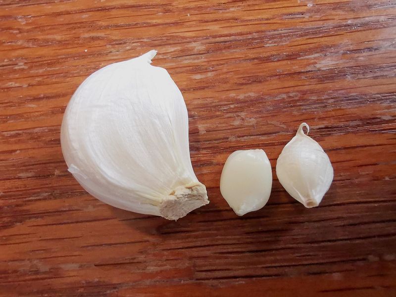 Small Seed Cloves Produce Small Bulbs