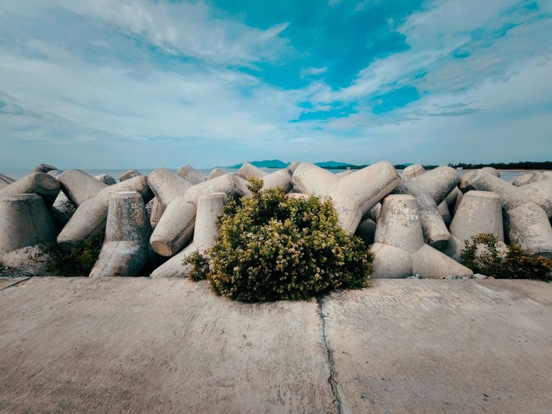 Smart Defenses That Hold Through Storm Season Smart Defenses That Hold Through Storm Season