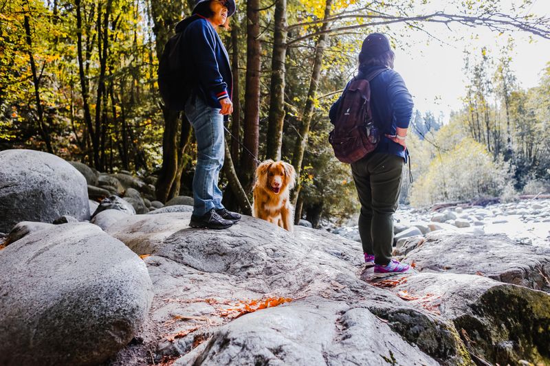 Smart Habits For Hikers, Dogs, And Neighbors