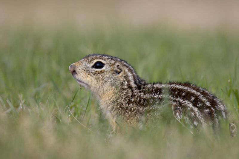 Smart Prevention Before Next Spring's Wake-Up Smart Prevention Before Next Spring's Wake-Up