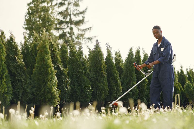 Smart Protection For Your Next Yard Day Smart Protection For Your Next Yard Day
