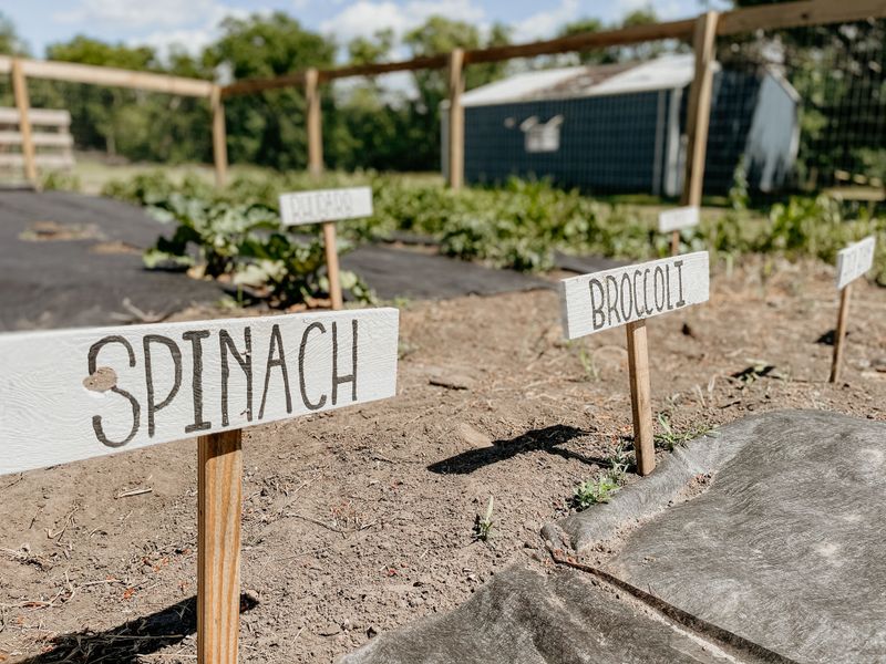 Smart Ways To Share Your Garden With Them