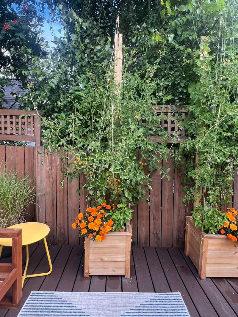 Smarter Bed Cleanup For Next Year's Crop