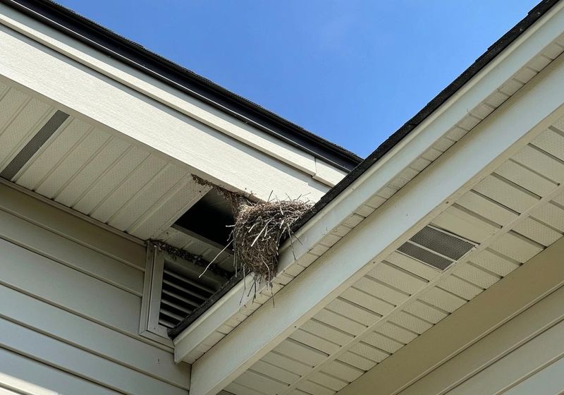 Soffit Seams Worth A Second Look