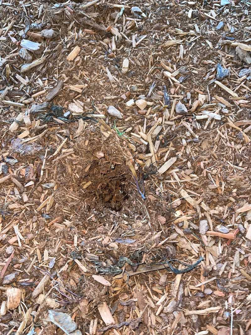 Soft Garden Beds Can Make Digging Much Easier Soft Garden Beds Can Make Digging Much Easier