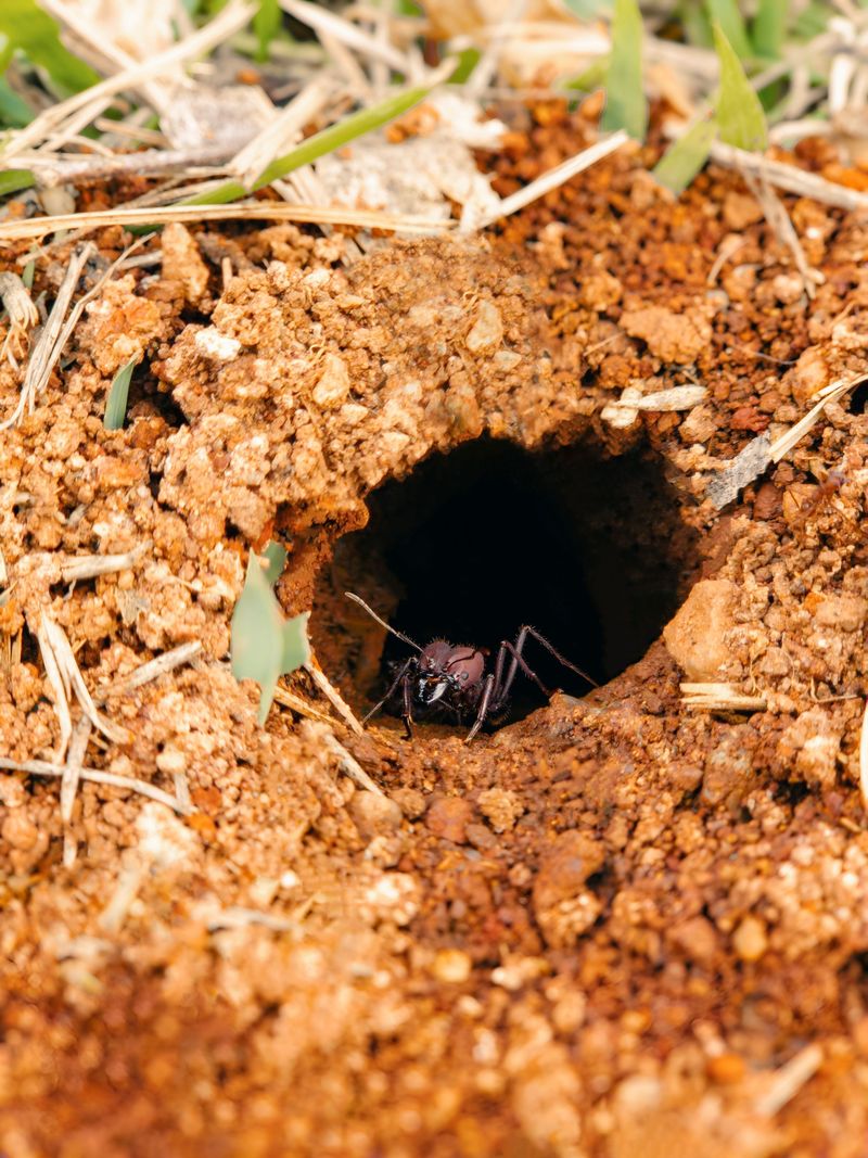 Soggy Soil Turns Tunnels Into Bathtubs