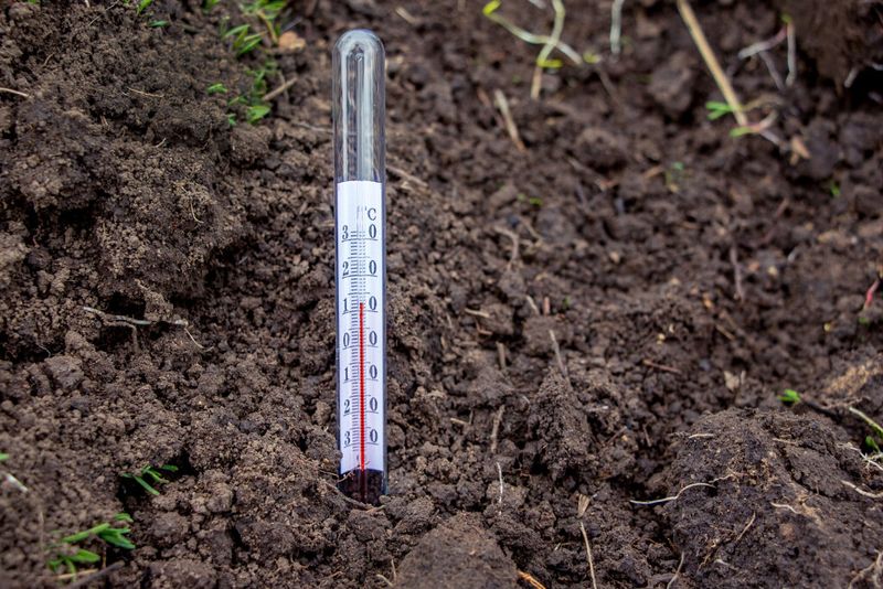 Soil Temperature Confirms When To Start Soil Temperature Confirms When To Start