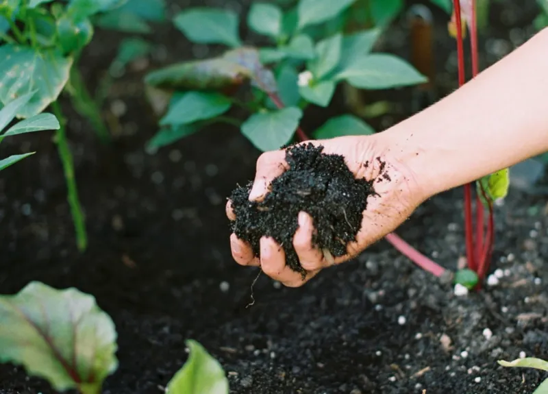 Soil Testing Prevents Guesswork