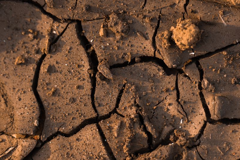 Soil That Feels Dusty Six Inches Down Soil That Feels Dusty Six Inches Down