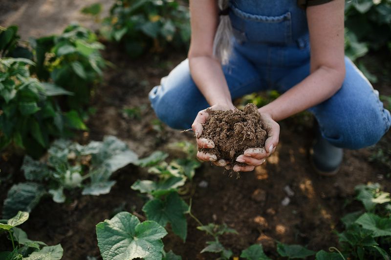 Soil Type Changes The Right Schedule