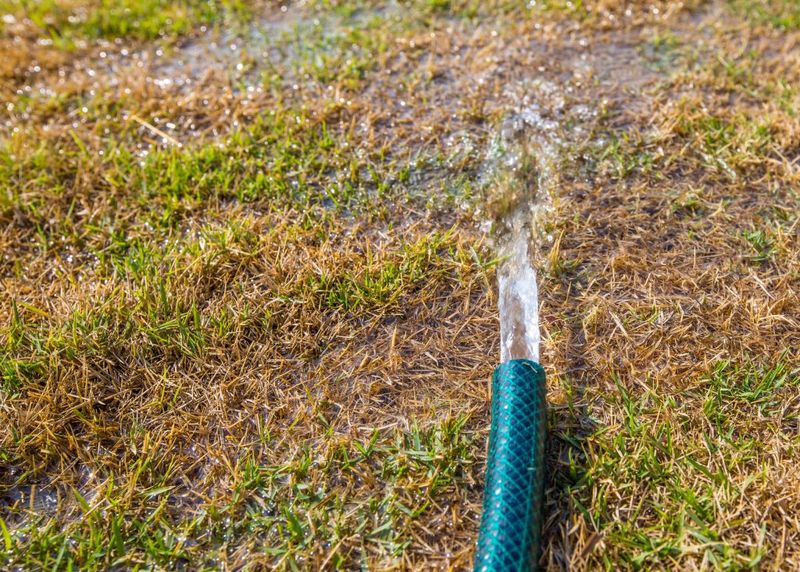 Soil Wetting Agents Can Help Some Cases