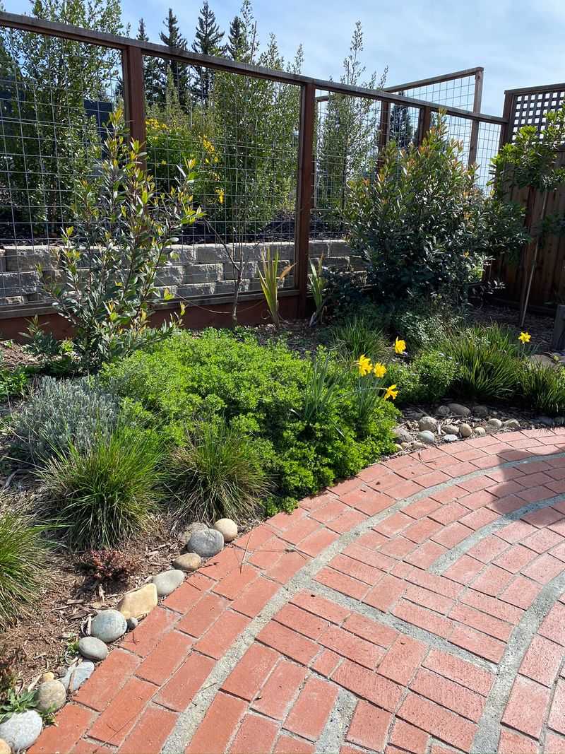 Some Foundation Plants May Have To Go Some Foundation Plants May Have To Go