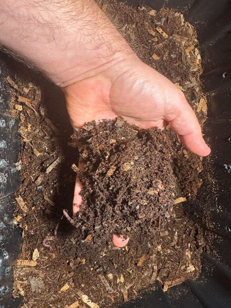 Sour Smell That Signals Fermented Mulch