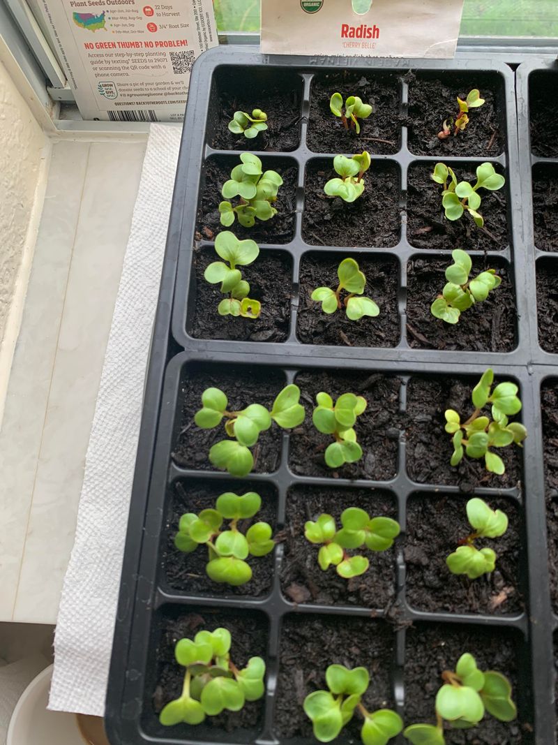 Sowing Dates And Frost Math For Ohio Gardens Sowing Dates And Frost Math For Ohio Gardens