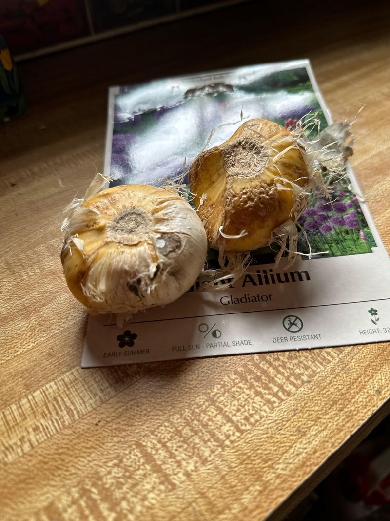 Specialty Varieties And Collector Favorites Go First