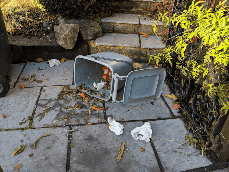 Spilled Pet Food And Unsealed Trash Spilled Pet Food And Unsealed Trash