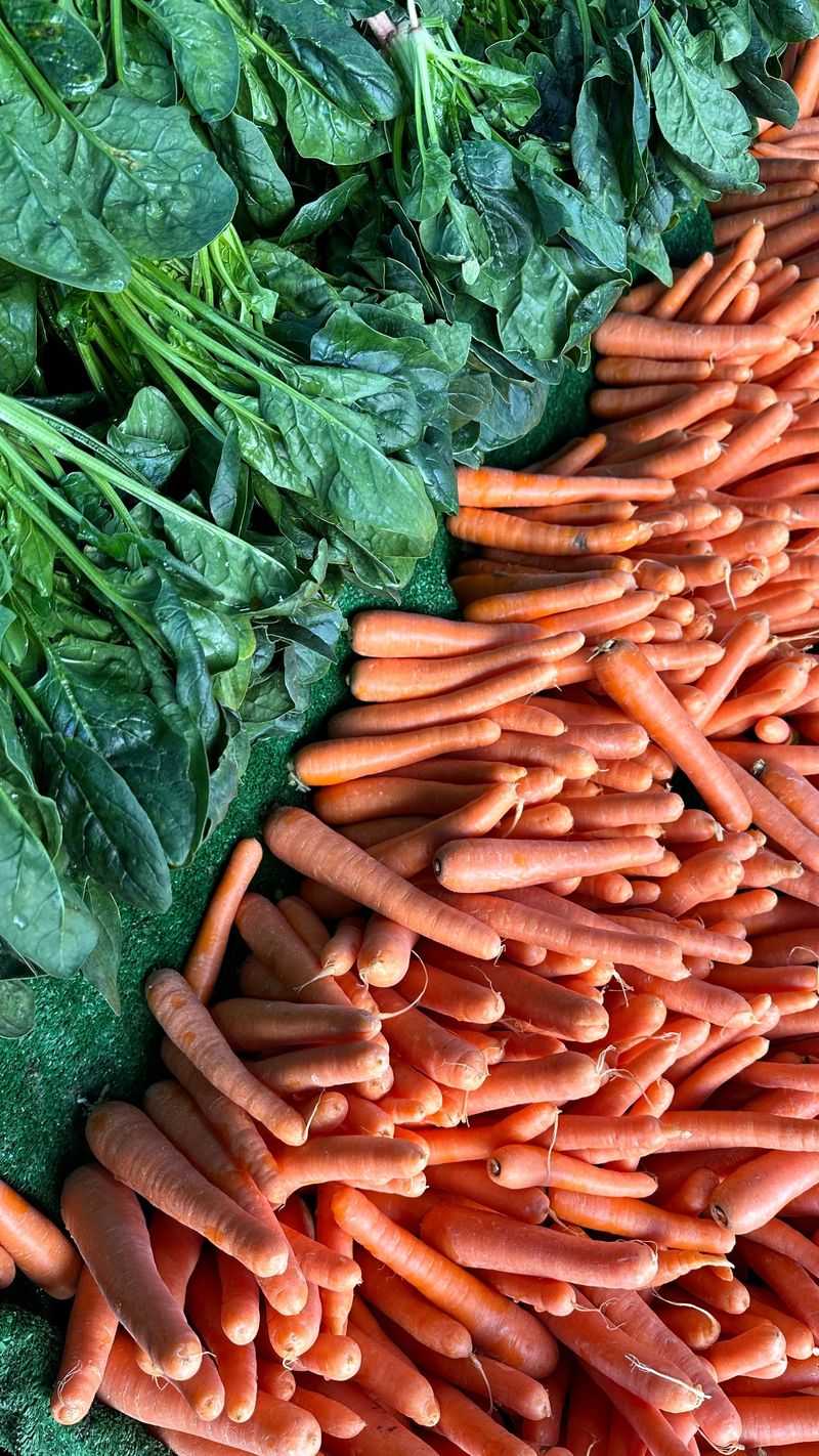 Spinach Fills The Gaps Between Carrots Spinach Fills The Gaps Between Carrots
