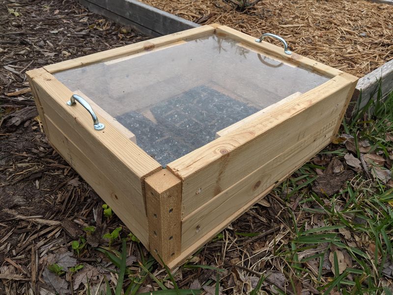 Spinach Seeds To Overwinter For Early Spring