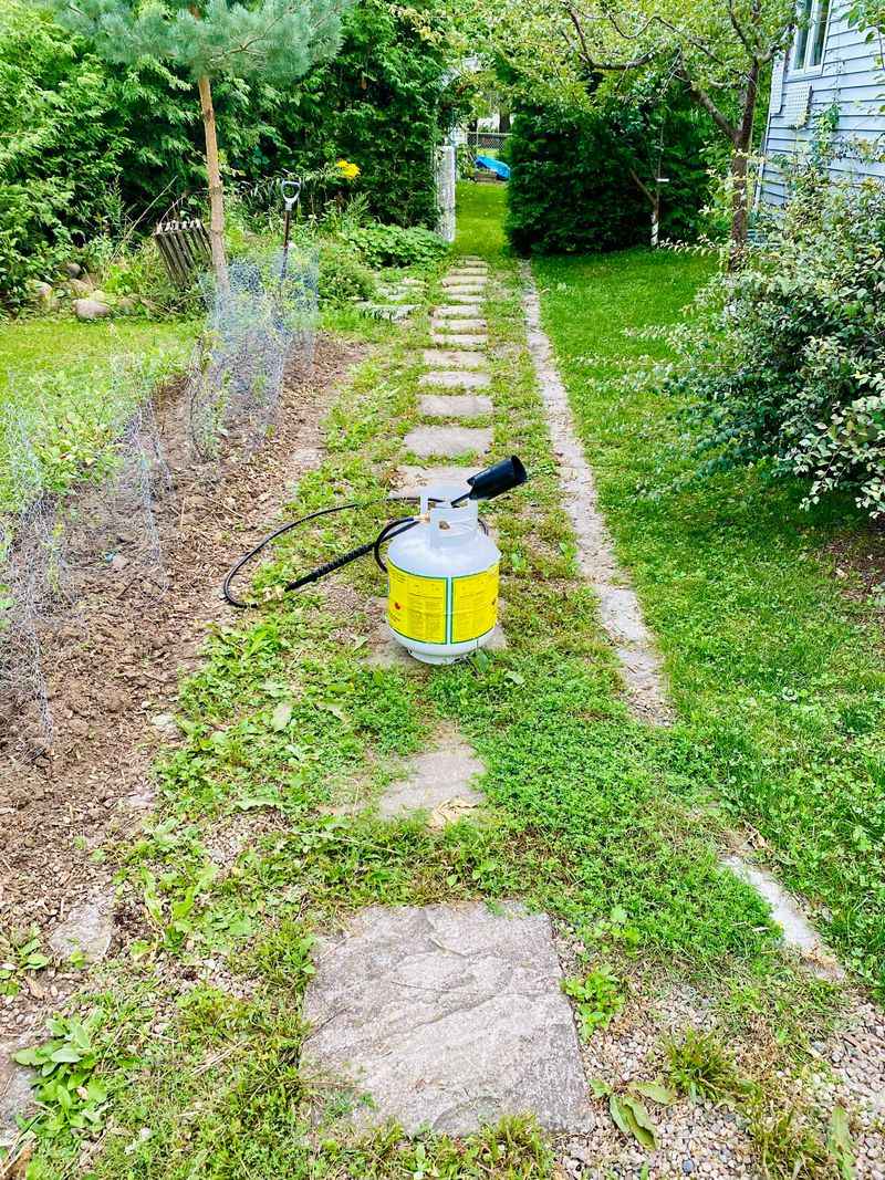 Spraying Weed Control Over Brand New Seed Spraying Weed Control Over Brand New Seed