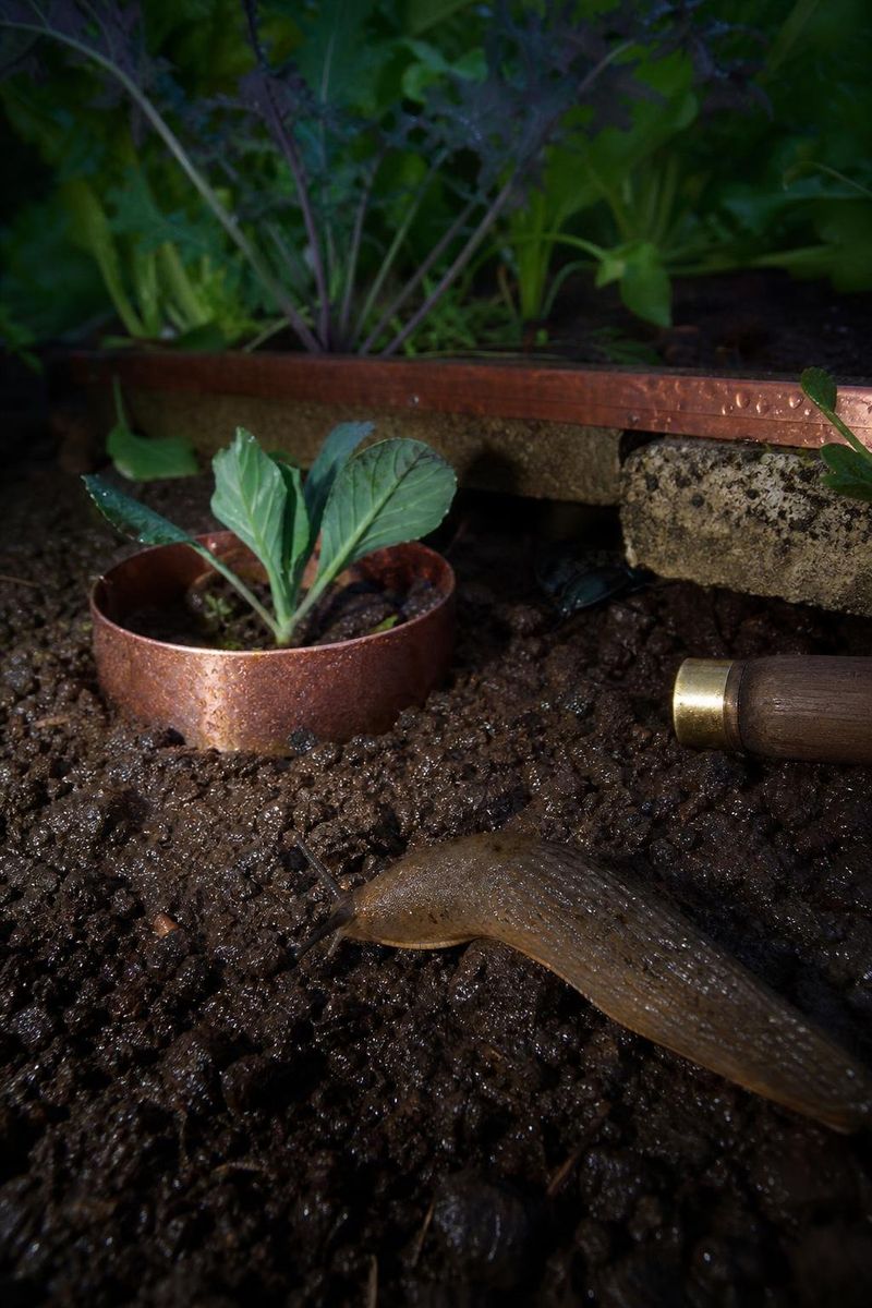 Spread Copper Tape Around Pots And Raised Beds Spread Copper Tape Around Pots And Raised Beds