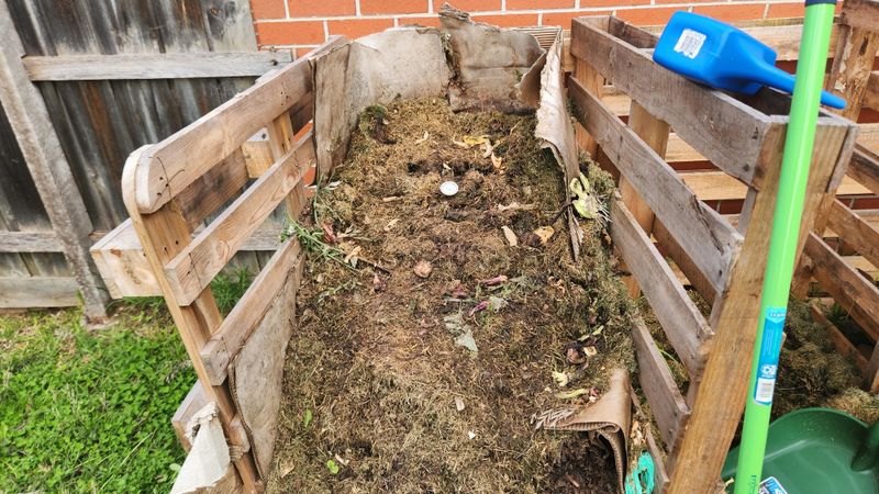 Spread Finished Compost In The Right Amount Spread Finished Compost In The Right Amount