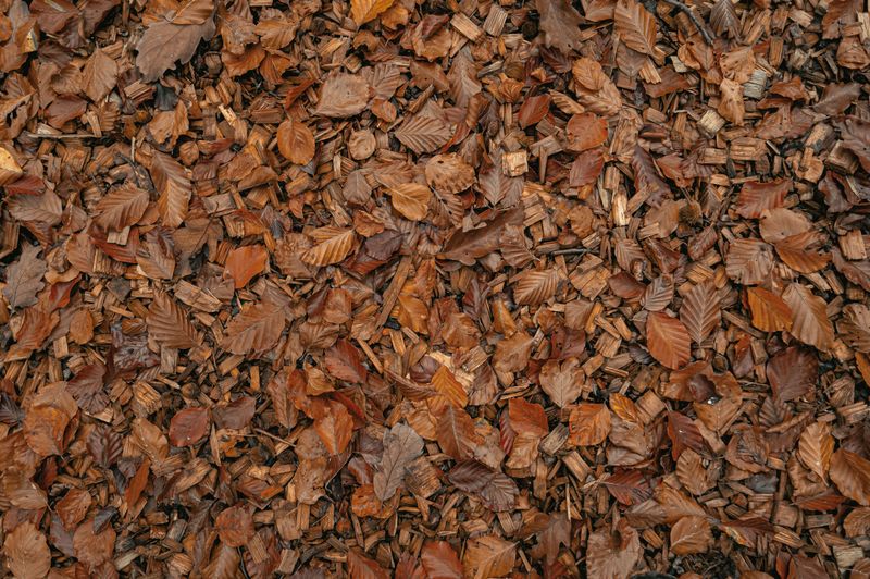 Spread Them As A Cozy Mulch Blanket