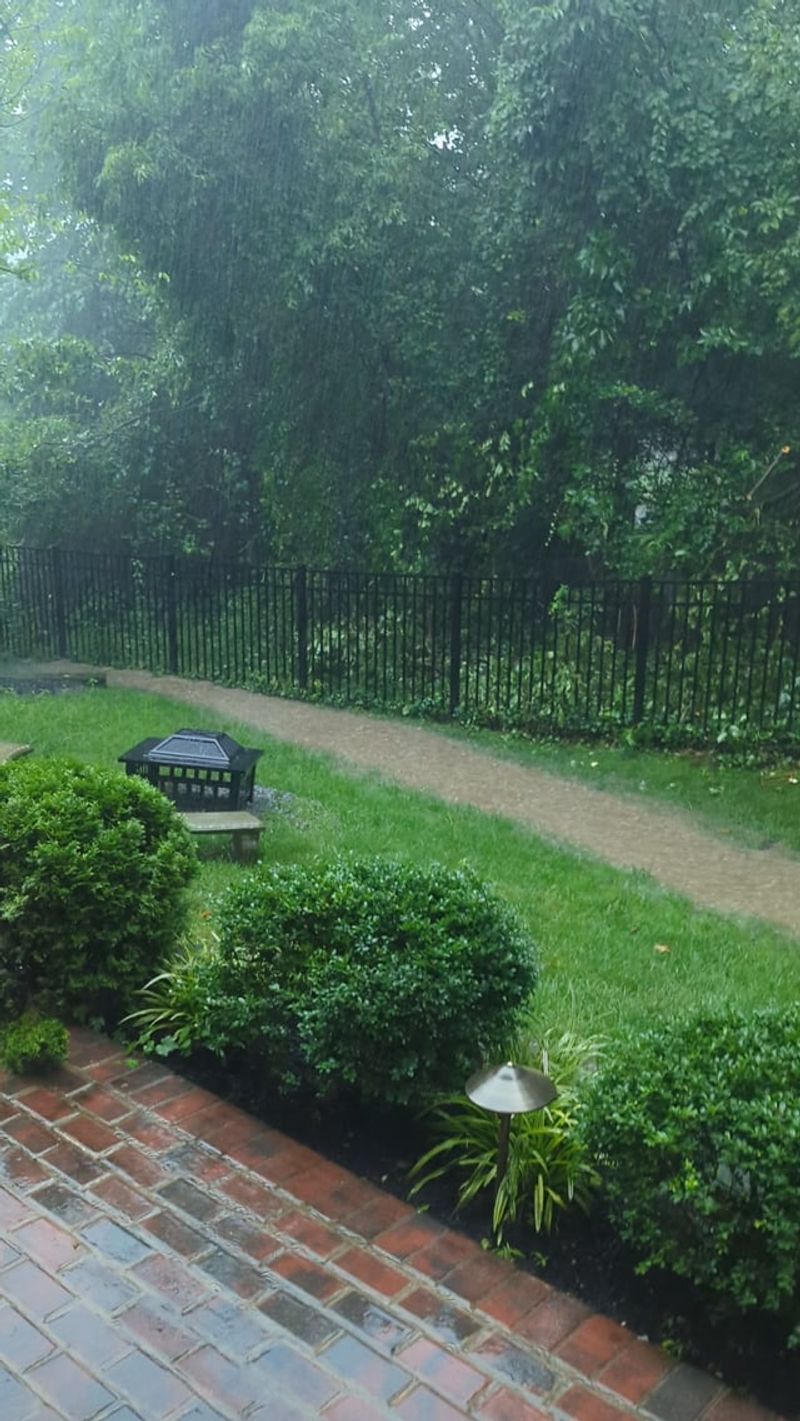 Spreading Fertilizer Before Heavy Rain