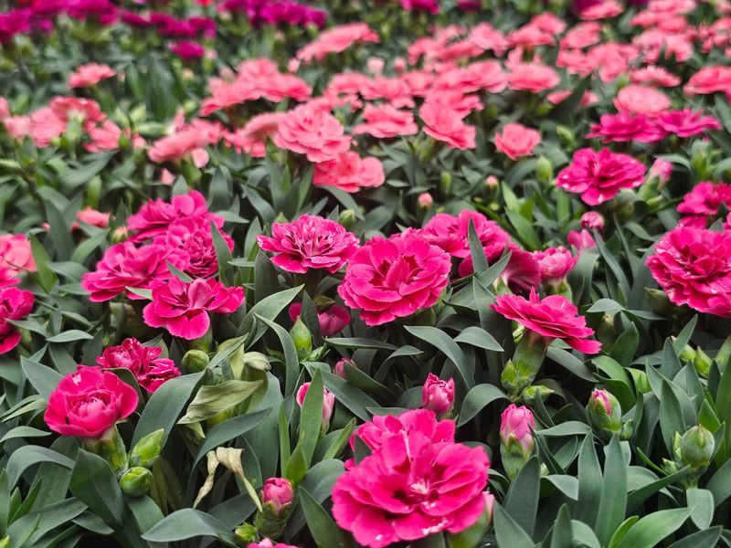 Spring Brings An Even Bigger Payoff Spring Brings An Even Bigger Payoff
