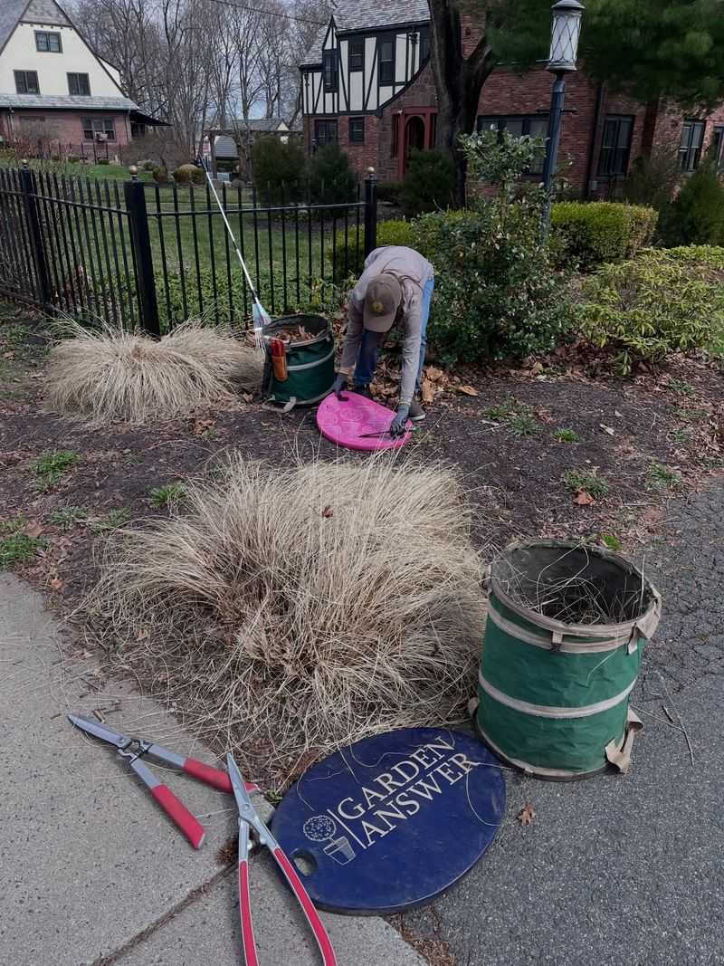 Spring Cutback Timing For Healthier Blooms Spring Cutback Timing For Healthier Blooms