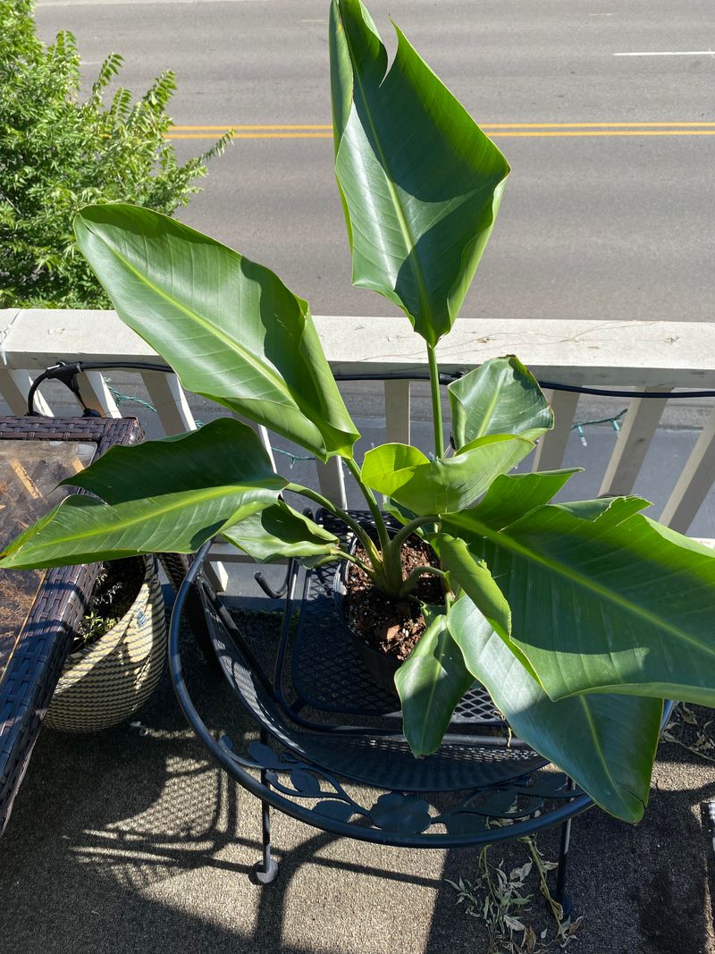 Spring Outdoors Should Be A Gradual Transition