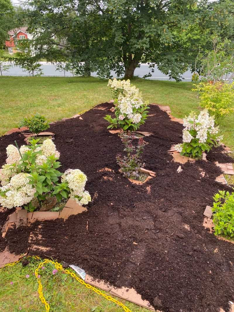 Spring Prevention Habits For Better Spacing