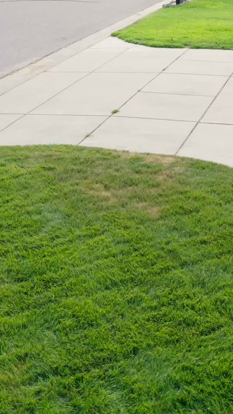 Sprinkler Blind Spots Baking The Same Patches
