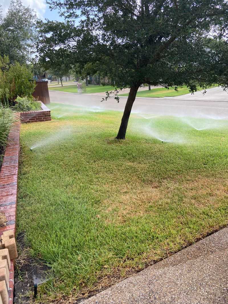 Sprinkler Blind Spots Create Random Brown Streaks