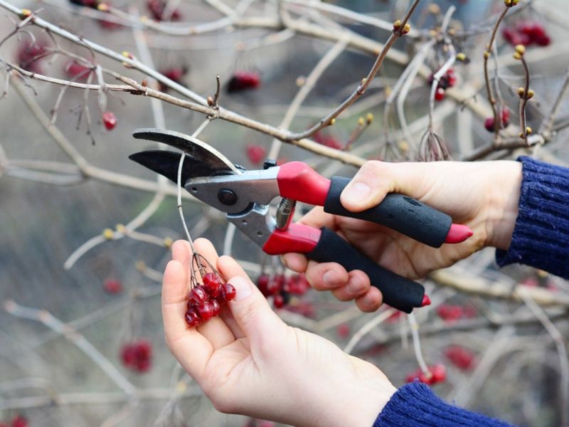 Sprinkler Habits And Shear Mistakes To Avoid Sprinkler Habits And Shear Mistakes To Avoid