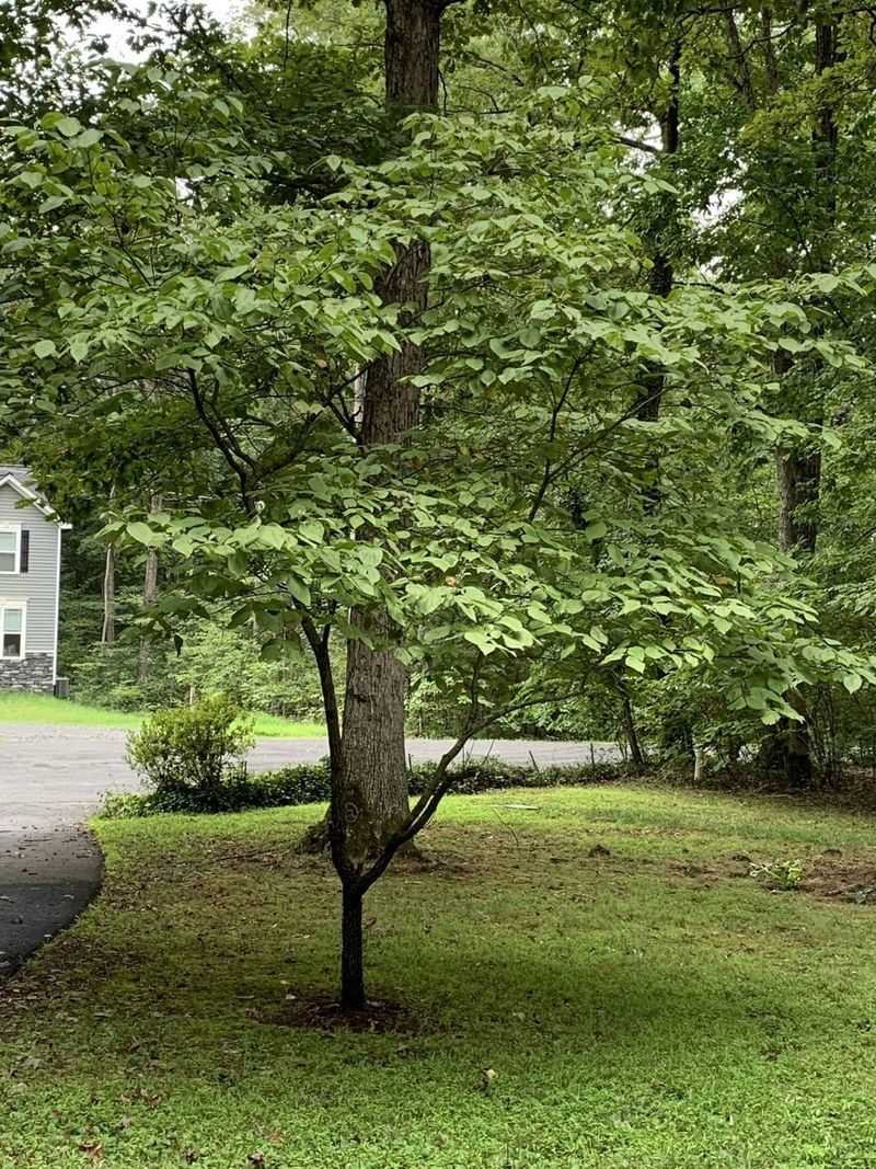 Sprinkler Habits That Leave Roots Thirsty Sprinkler Habits That Leave Roots Thirsty