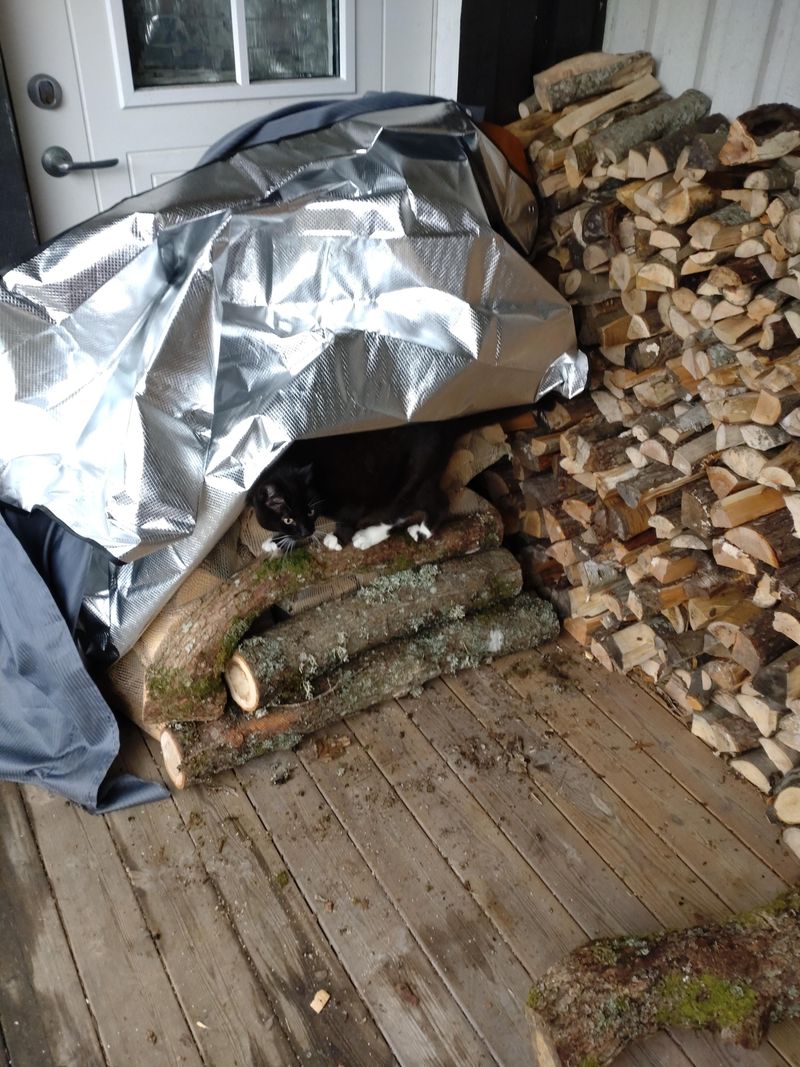 Stacked Firewood Piles Near The Foundation