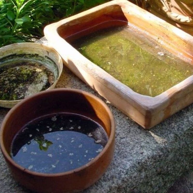 Standing water is a major, manageable source of backyard mosquitoes