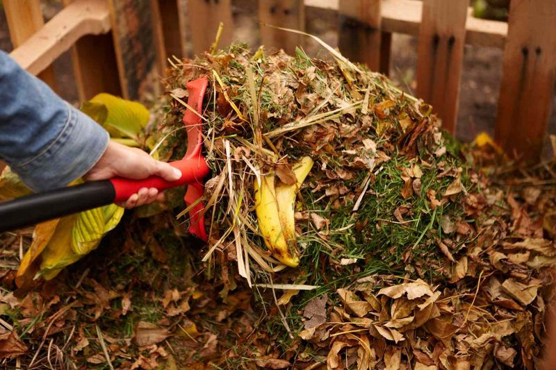 Start A Compost Pile With Fallen Leaves
