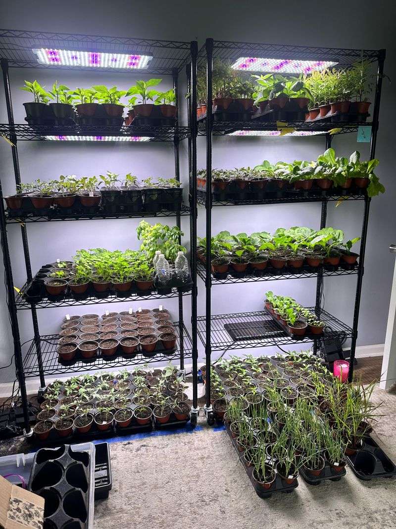Start Seeds Indoors Where The Air Is Cool Start Seeds Indoors Where The Air Is Cool