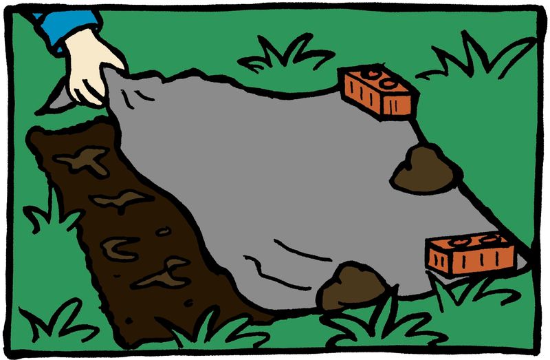 Start with careful digging and disciplined cleanup Start with careful digging and disciplined cleanup
