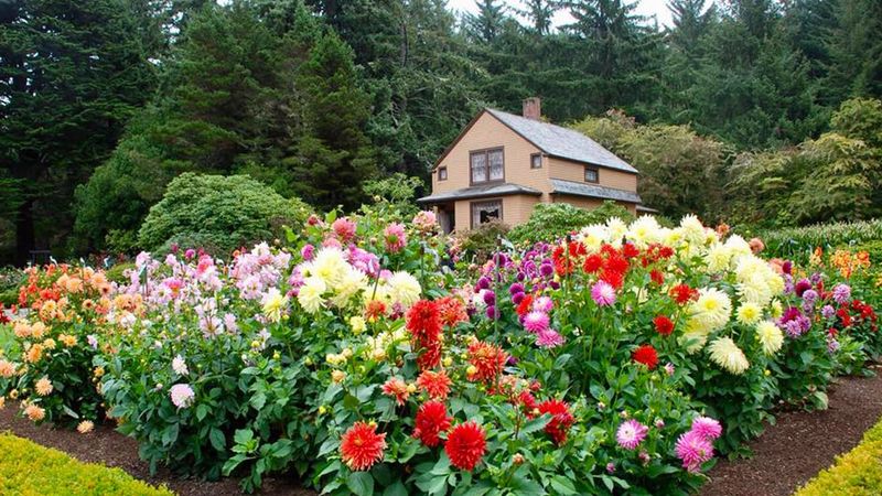 Start with the Oregon you garden in Start with the Oregon you garden in