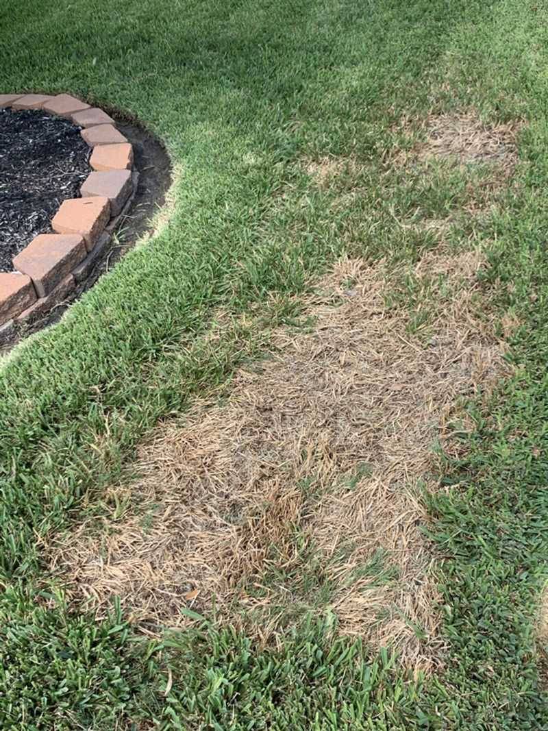 Stay Ahead Of Large Patch Risk